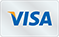 visa card